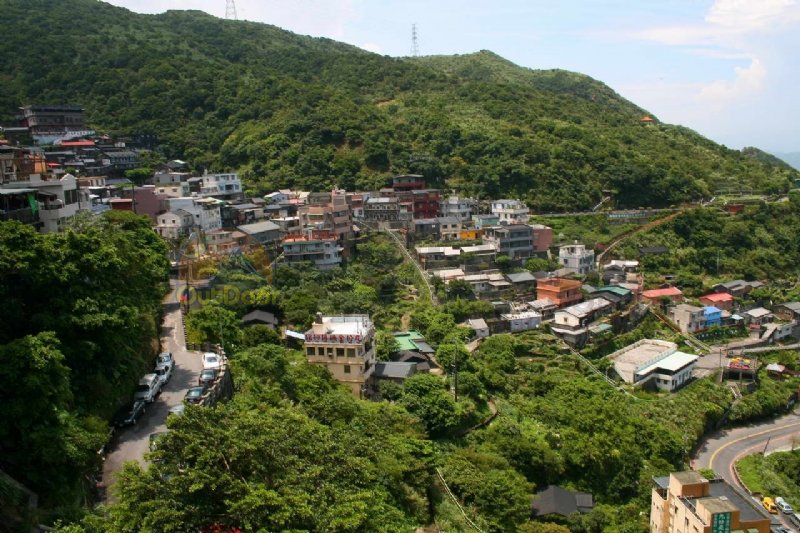 喝茶看海品味宝岛之美(组图)
