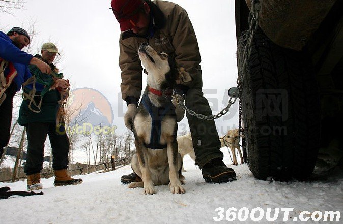 Dog Sledding in Montana’s Wilderness