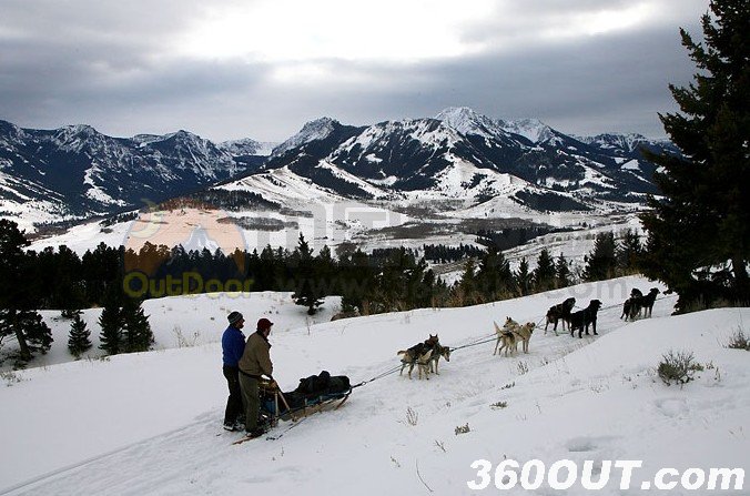 Dog Sledding in Montana’s Wilderness