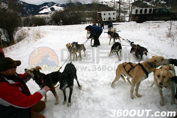Dog Sledding in Montana’s Wilderness