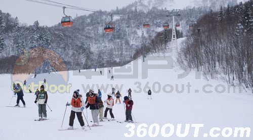北海道中国学友会组织滑雪游