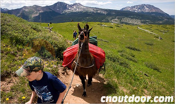 Backpacking Made Easy, With 4-Footed Friends