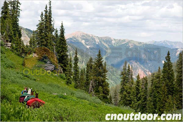 Backpacking Made Easy, With 4-Footed Friends
