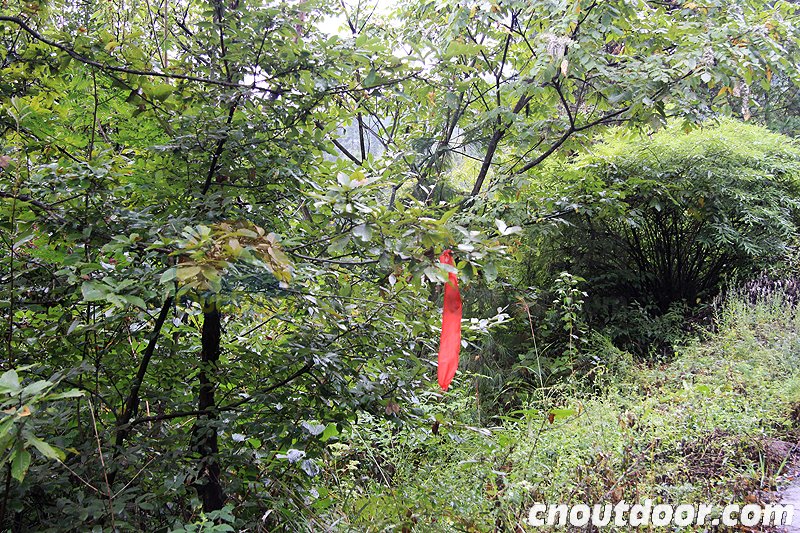 武隆山地公开赛竞赛线路抢先预览