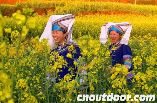 云南罗平国际油菜花文化旅游节2月开幕