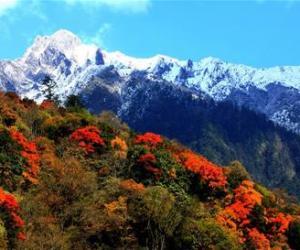 五大连池世界地质公园举办“赏秋节”
