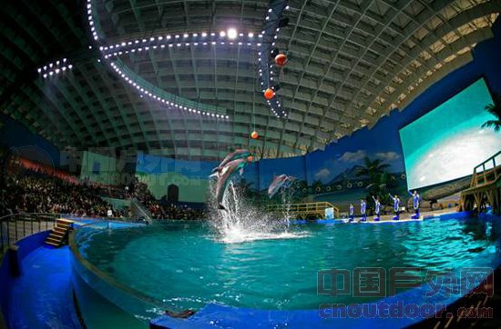 武汉极地海洋世界南北极动物玩转奥运