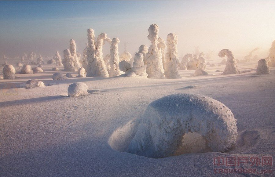 北极奇景  冰雪覆盖树木宛如外星球