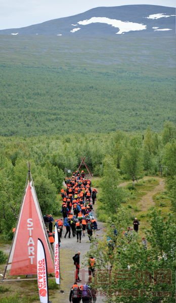 2000名徒步爱好者穿越瑞典北极狐（组图）