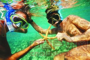 马尔代夫卡尼岛　携手潜入梦幻海底世界