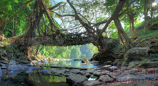 走进“世界雨极之地”印度乞拉朋齐