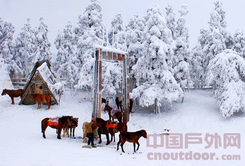 <em>武隆仙女山冰雪节</em> - 中国户外网