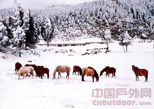 <em>武隆仙女山冰雪节</em> - 中国户外网