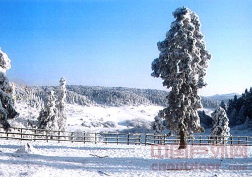 <em>武隆仙女山冰雪节</em>-+中国户外网
