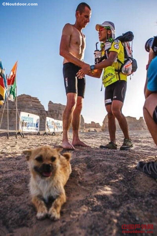 流浪狗250公里陪跑马拉松 被英国小伙打飞的带回家