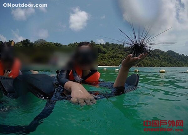 泰媒不待见中国游客  抹黑中国游客在象岛潜水捞海胆和巨蚌