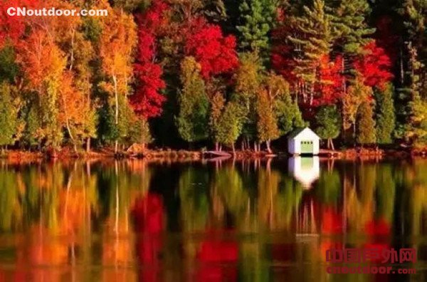 加拿大迷人的秋景闪瞎你的双眼