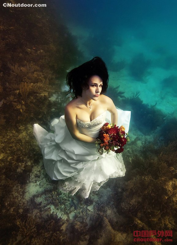 美国新婚夫妇海底拍绝美婚礼照片