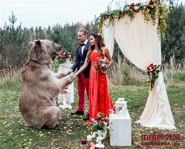 俄罗斯大棕熊当婚礼证婚人 为新人牵手“祝福”