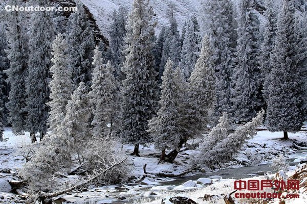 新疆别珍套山雪后雾凇美景幻如仙境