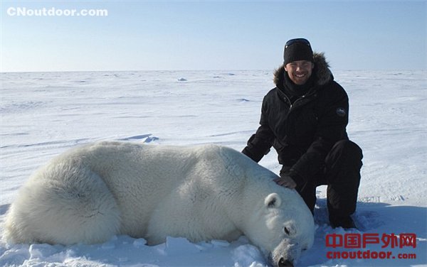 加男子情迷北极熊 投身保护工作