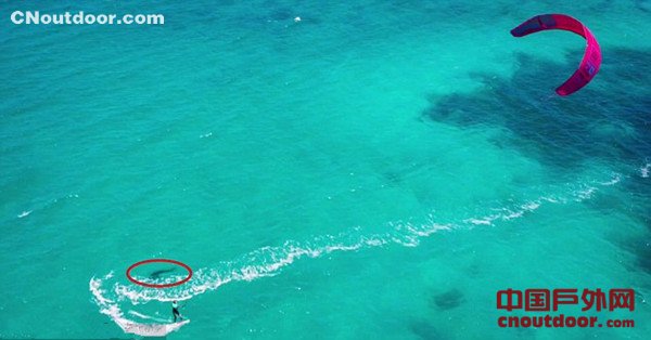 法国旅游女博主风筝冲浪偶遇大白鲨 死里逃生
