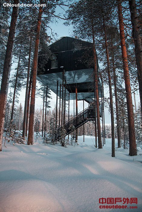 瑞典豪华树上旅馆对外开放 具有完美隐蔽性