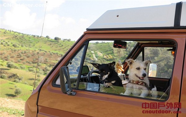 荷兰夫妇变卖家产携爱犬驱车环游欧洲