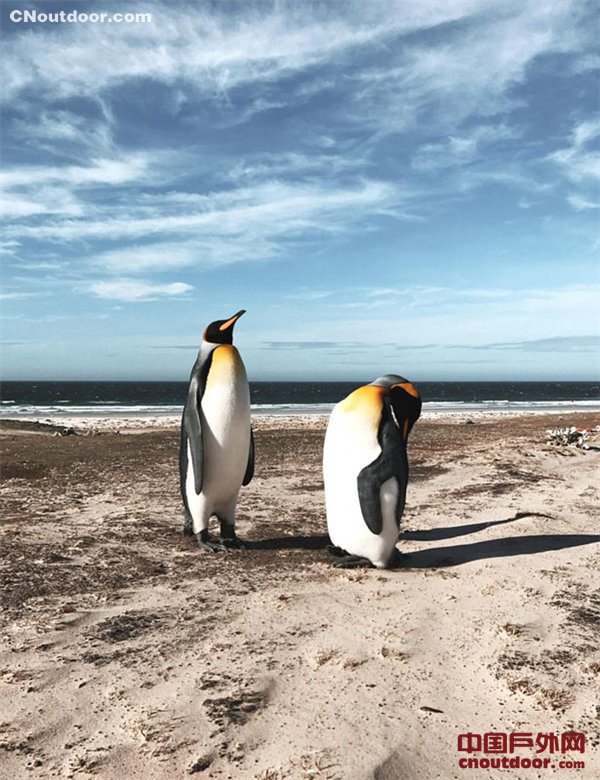 美呆！新西兰摄影师用手机拍南极美景