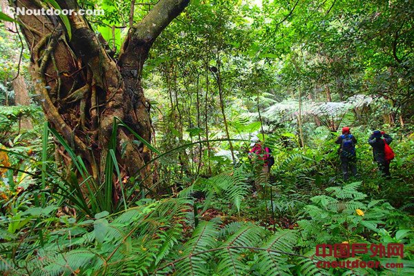 海南省森林旅游资源丰富 生态优势亟待转化为产业优势