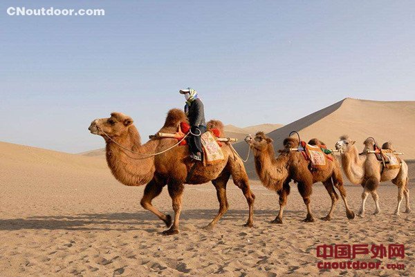 第七届敦煌行·丝绸之路国际旅游节实现多赢