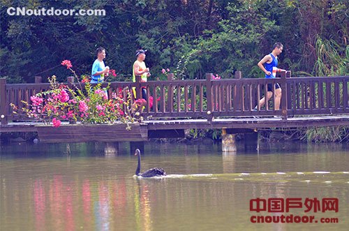 中国山地马拉松系列赛“双鱼岛杯”漳州港站开跑