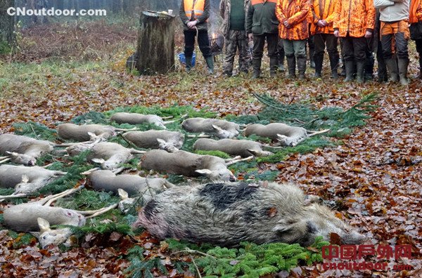 德国开启狩猎季 2万猎人上演残忍“杀戮”