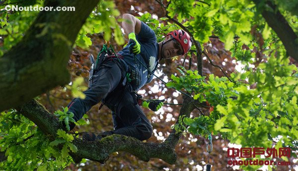 德国举办第25届爬树比赛 60名选手争夺冠军