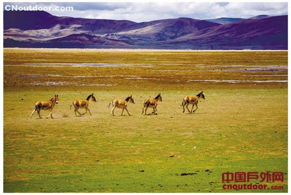 上半年西藏山南旅游总收入较上年同期增长66%