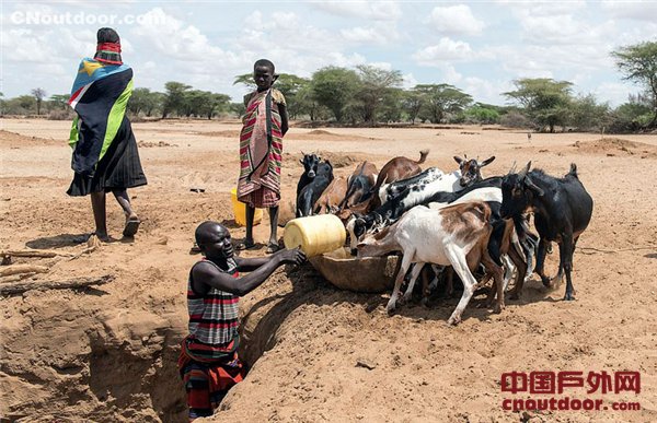 肯尼亚遇极度干旱 部族妇女每天跋涉20公里找水源