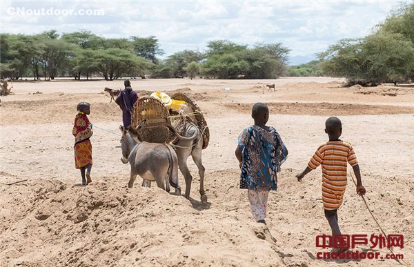 肯尼亚遇极度干旱 部族妇女每天跋涉20公里找水源