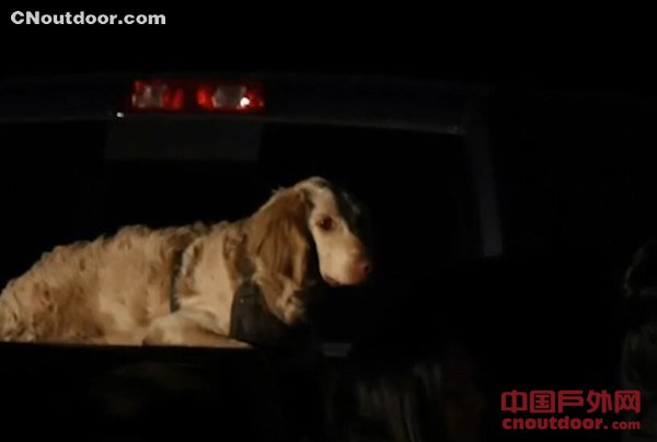 美国1徒步旅行者失踪16天后被发现死亡 狗狗守在主人身边